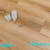 Sàn nhựa hèm khóa SPC Galamax 1006