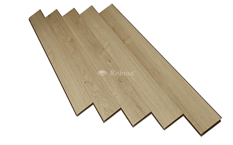 mặt cắt Robina O114 mặt cắt Robina O114