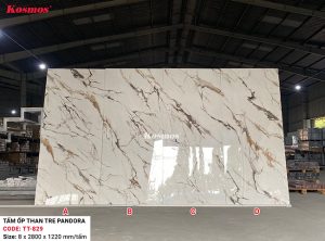 Bộ tấm ốp than tre vân đá TT-829