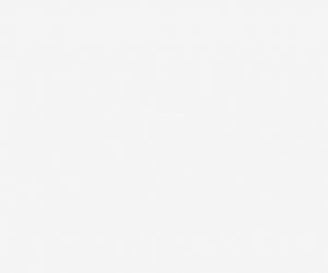 Tấm ốp than tre đơn sắc TT-816