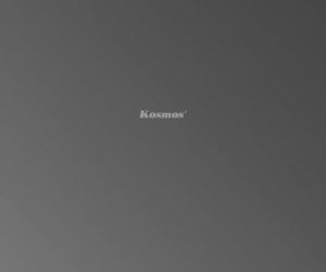 Tấm ốp than tre tráng gương TT-811