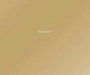 Tấm ốp than tre tráng gương TT-812