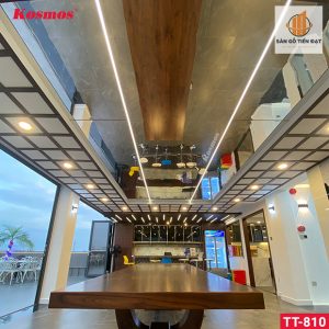 Thi công tấm ốp than tre bạc tráng gương TT-810